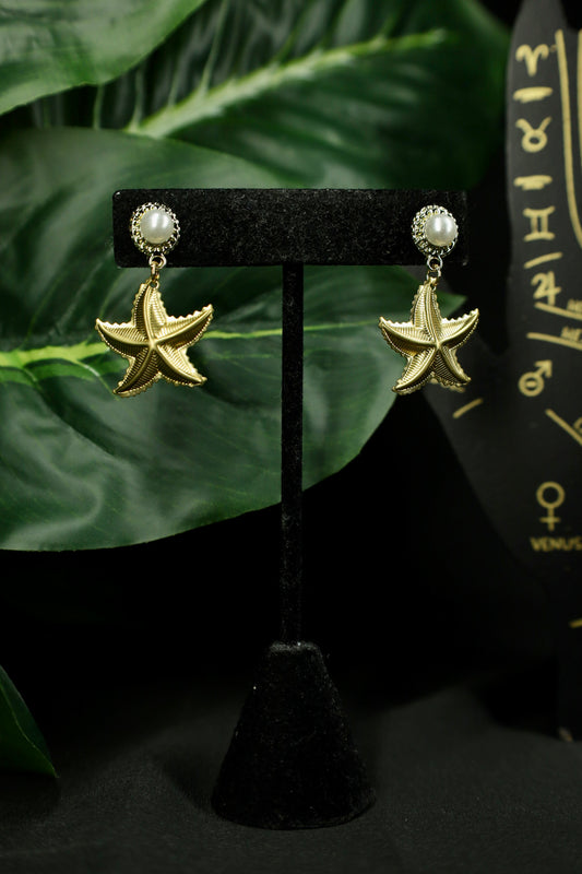 Stunning Starfish earrings